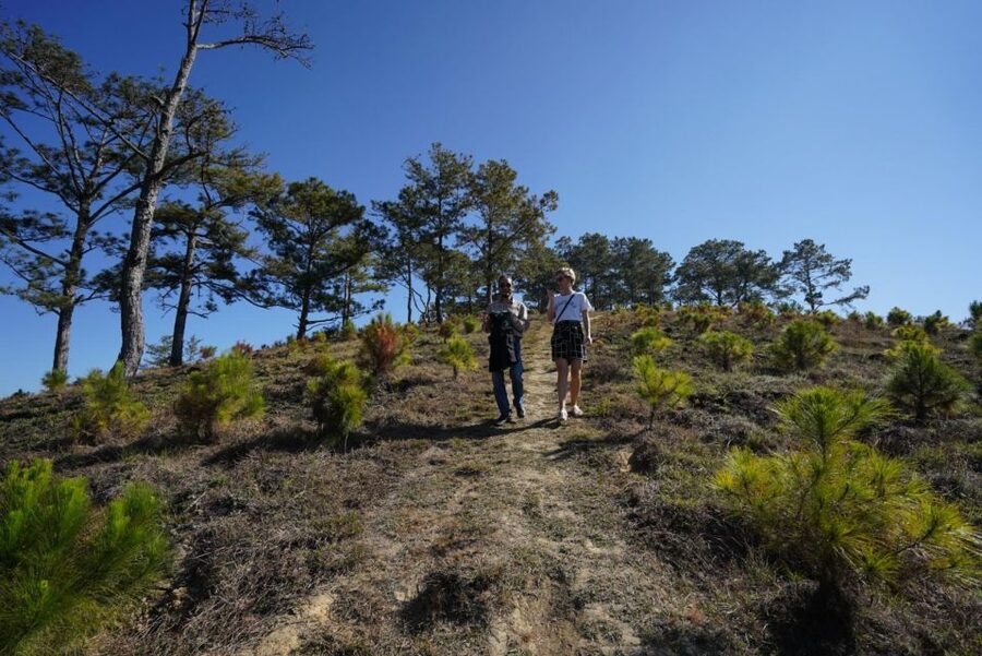 Coffee - Wine - Tea Da Lat's Agricultural Treasures Tour - Riding Da Lat’s food country on a private motorbike