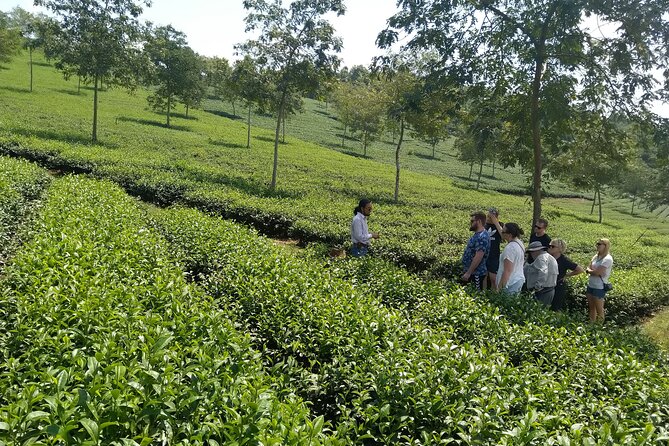 Coffee - Wine - Tea: Dalat Treasures tour - Guide quality: what to expect from a person, not just a route