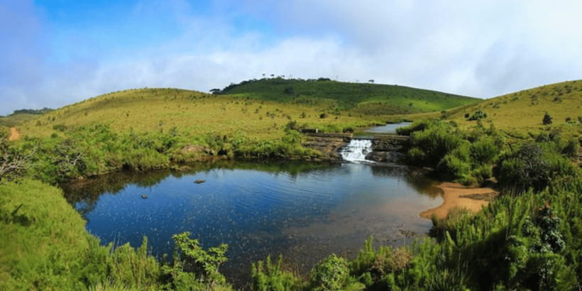 Comprehensive Excursion: Horton Plains and Pedro Tea Factory - Horton Plains in One Day: Why This Part Works