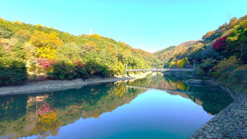 Cycling Tour at Uji's Matcha Green Tea Fields and Heritage - Why Uji by bike beats a walk (or a bus)