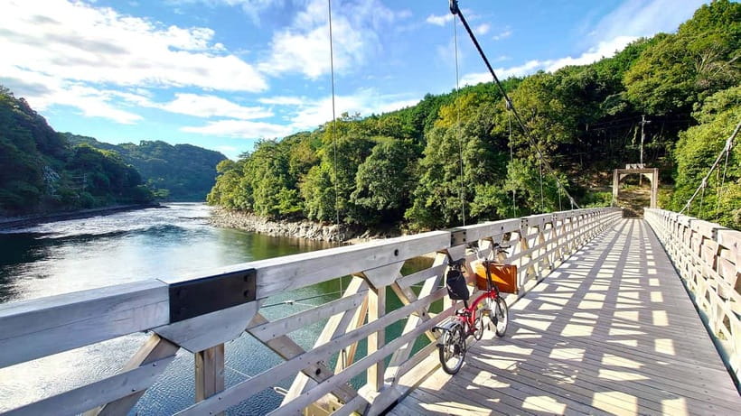 Cycling Tour at Uji's Matcha Green Tea Fields and Heritage - Lunch and matcha shopping time in Uji