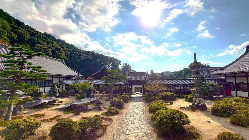 Cycling Tour at Uji's Matcha Green Tea Fields and Heritage - Price and what you truly get for $160