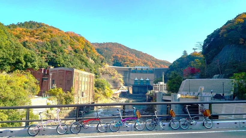 Cycling Tour at Uji's Matcha Green Tea Fields and Heritage - Uji Kosho-ji Temple: an afternoon anchor