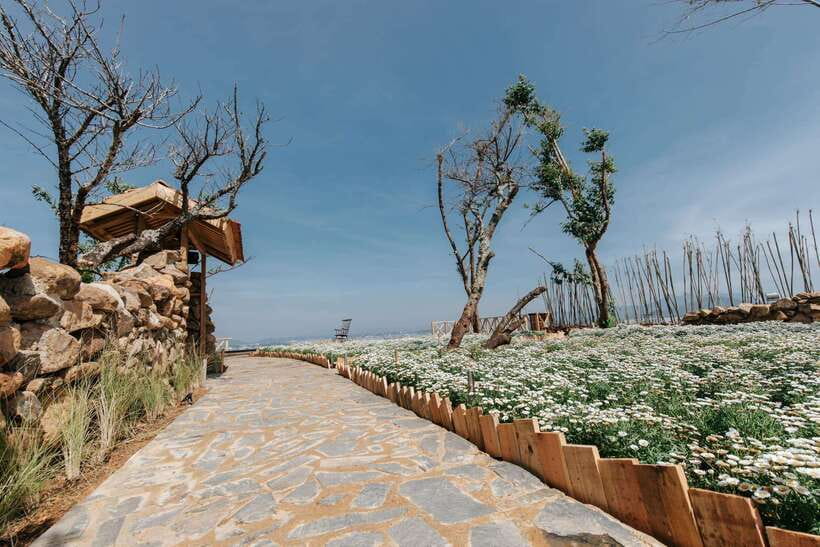 Da Lat: Sunrise Panorama, Green Tea Hill and Strawberry Farm - Loi Cua Gio Café: Breakfast and a Drink Promotion