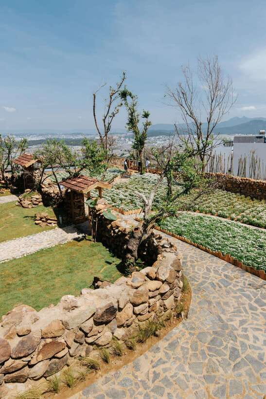 Da Lat: Sunrise Panorama, Green Tea Hill and Strawberry Farm - Timing, Group Size, and What to Bring