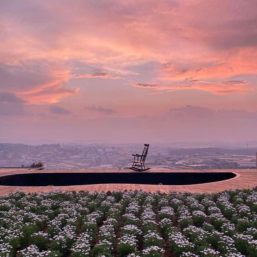 Da Lat: Sunrise Panorama, Green Tea Hill and Strawberry Farm - Cau Dat Green Tea Hill and the Wind Turbines You Can’t Miss