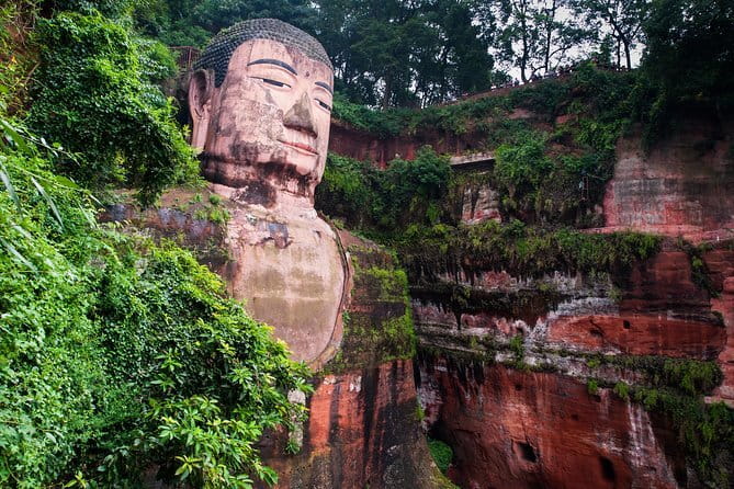 Day tour Chengdu Panda Base Leshan Giant Buddha with local Lunch - Tea terrace views and tea tasting: the scenic reset