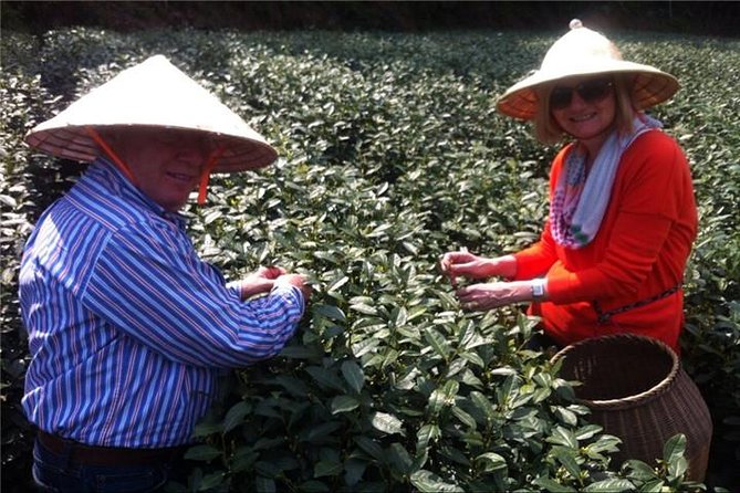Day Tour to Discover the Secrets of Hangzhou's Tea Culture - China National Tea Museum: What You’ll Learn Before You Taste