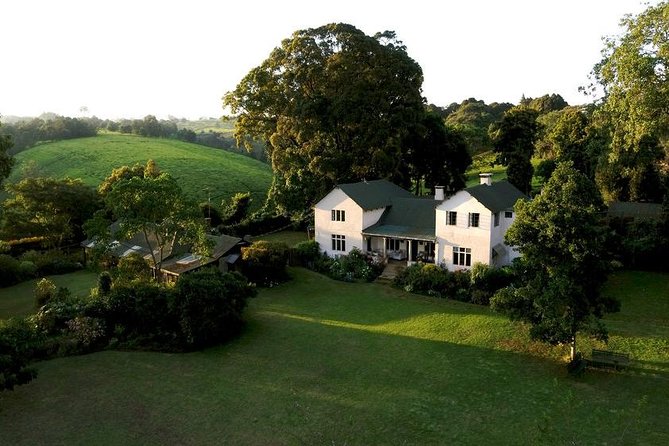 Day Tour To Kiambethu Tea Farm in Limuru - Price and Value of a $115 Private Kiambethu Day Tour