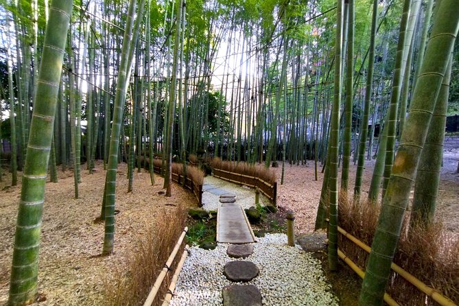 Day Trip to Kamakura & Enoshima: Shrines, Seaside, Temples & Tea - Shinjuku Start and the Free Pass Plan (So You’re Not Doing Math)