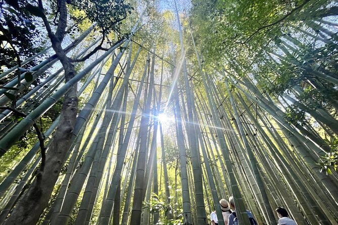 Day Trip to Kamakura & Enoshima: Shrines, Seaside, Temples & Tea - Enoshima Island: Sea Walk, Escalators, and the Sea Candle Observatory
