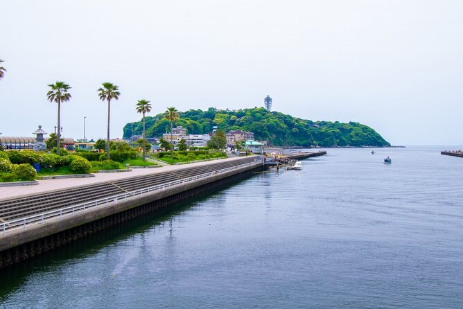 Day Trip to Kamakura & Enoshima: Shrines, Seaside, Temples & Tea - Price and Value: What You’re Paying For (and What You’re Not)