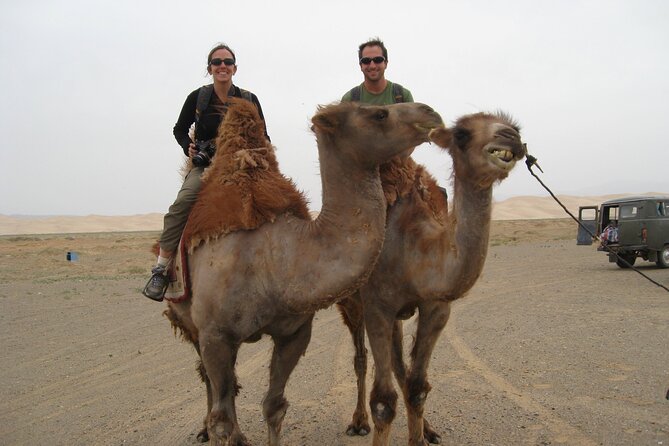 Desert Sunset Camel Ride With Free Tea in The Desert Camp - Getting Picked Up: Marrakech Logistics Without the Headache