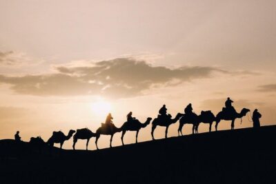 Desert Sunset Camel Ride With Free Tea in The Desert Camp - The Agafay Sunset Camel Ride: What You’ll Do on Camelback