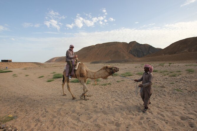 Desert Sunset Camel Ride With Free Tea in The Desert Camp - Price Check: Is $234.91 Good Value?