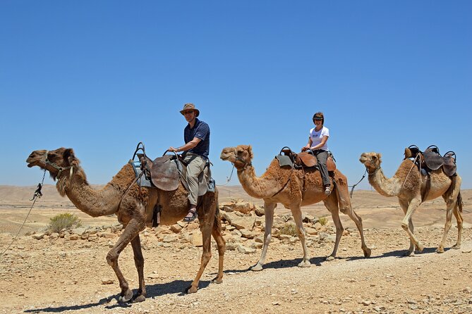 Desert Sunset Camel Ride With Free Tea in The Desert Camp - Who This Tour Fits Best
