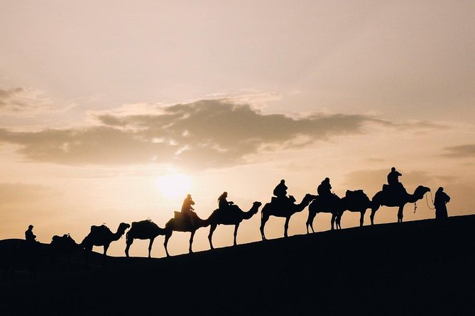 Desert Sunset Camel Ride With Free Tea in The Desert Camp - The Agafay Sunset Camel Ride: What You’ll Do on Camelback
