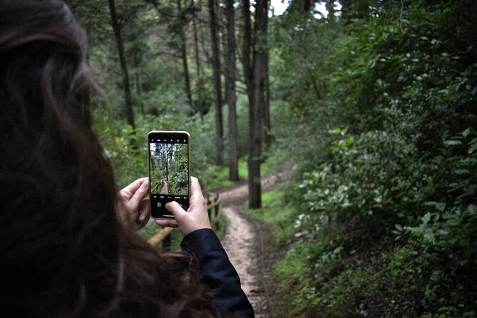 Discover the Lake Agnes Tea House Trail with an Audio Nature Tour - Wildlife crossing: the bridge-underpass design