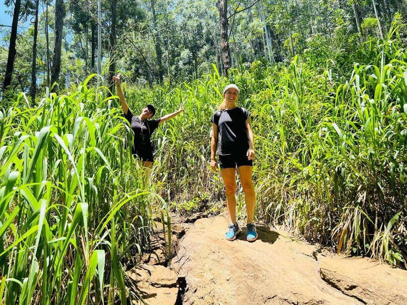 Ella Day Tour from Kandy with tea factory - Morning Focus: Ramboda Falls, Bhatha Hanuman Temple, and the View Point