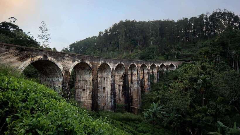 Ella Day Tour: with Tea Factory Visit from Colombo/Bentota - From Colombo or Bentota to the Highlands: the drive that sets the tone