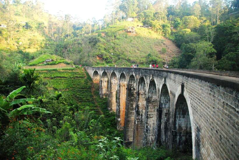 Ella Day Tour: with Tea Factory Visit from Colombo/Bentota - Nine Arches Bridge: how to enjoy the icon without missing the details
