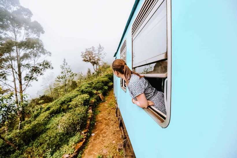 Ella Day Tour: with Tea Factory Visit from Colombo/Bentota - Price and value: where $159 per person actually goes