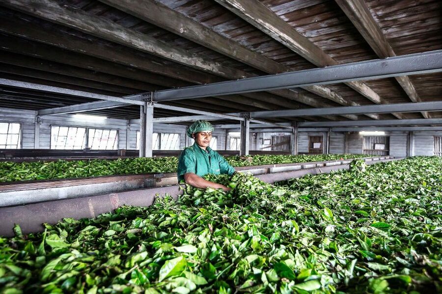 Ella: Lipton's Seat Tour with Dambetanna Tea Factory Visit - Haputale lunch in the tea fields area: the break that keeps the day balanced