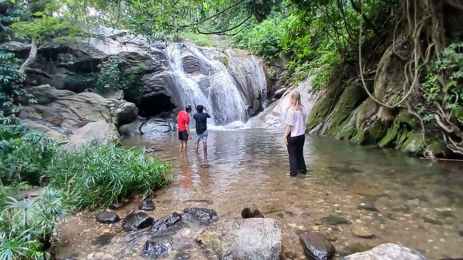 ELLA Lipton Seat Tea Test & Pluck 9Arch, Waterfalls, & Lunch - Who should book this tour (and who should choose a different day)