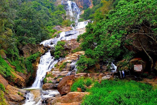 Ella Private Day Trip with Train Ride & Tea Factory-All Inclusive - Who This Tour Fits Best (and Who Might Want DIY)