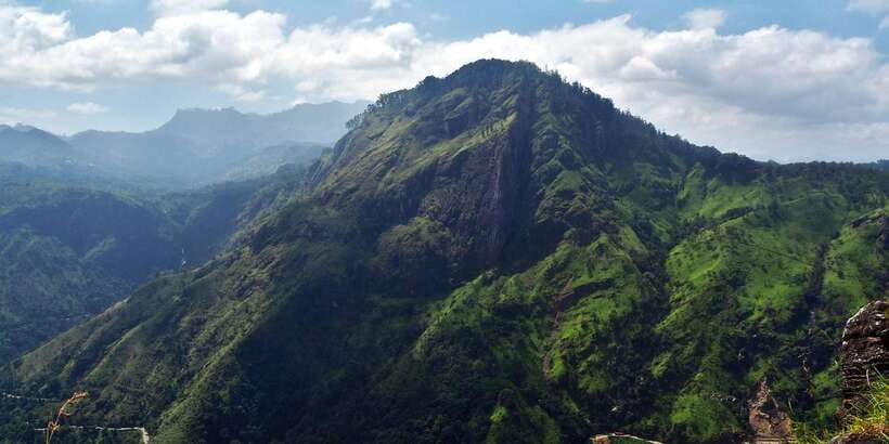 Ella: Tea Factory, Train, and Nine Arch Day Tour with Pickup - Key points before you go