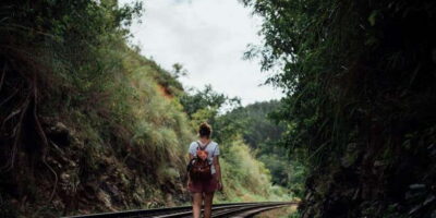 Ella: Tea Factory, Train, and Nine Arch Day Tour with Pickup - Pickup, driving time, and the reality of a long day