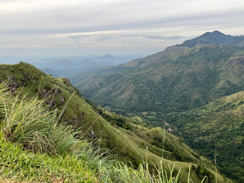 Ella: Tea Factory, Train, and Nine Arch Day Tour with Pickup - Little Adam’s Peak hike: big payoff, moderate effort