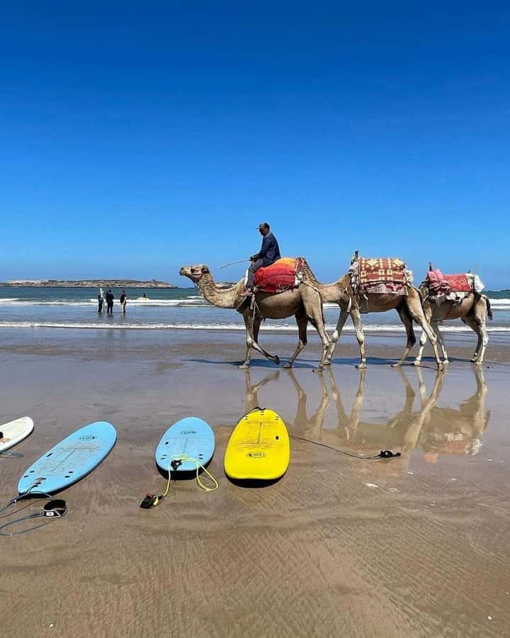 Exclusive Tangier Day Tour from Tarifa To Tanger with Tea - Grand Socco: people-watching time that connects cultures