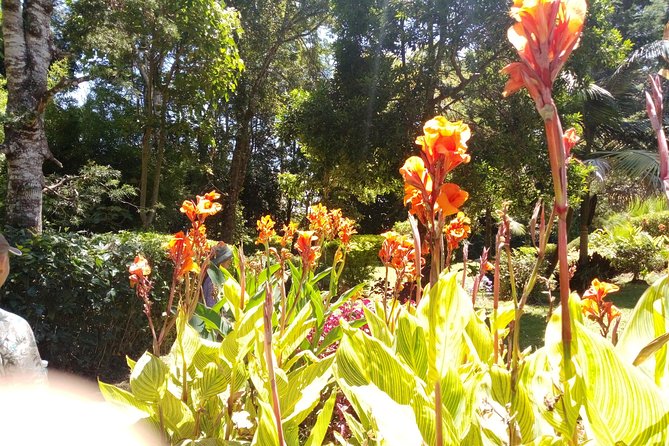 Excursion to Kiambethu Tea Farm - Price and value: what your $140 actually covers