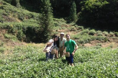 Experience Chengdu: Private Tea-Making Day Tour of Mengdingshan Tea Plantation - Getting from Chengdu: pickup, a climate-controlled ride, and a steady pace