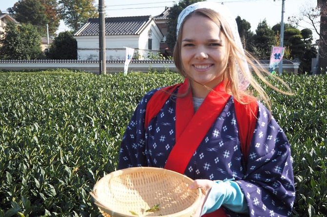 Experience Seasonal Green Tea Picking in Sayama and Nostalgic Walk in Kawagoe! - Warehouse District and Candy Alley (Kashiya Yokochō): where the old-town vibe sticks