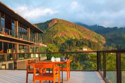 Explore Nuwara Eliya | Experience the Best Tea in the World - Oak Ray Tea Factory & Museum: the free tea-making lesson