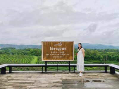 Explorer Border road and Nature ( Tea and Coffee ) - Choui Fong Tea Plantation: Chiang Rai oolong with mountain air