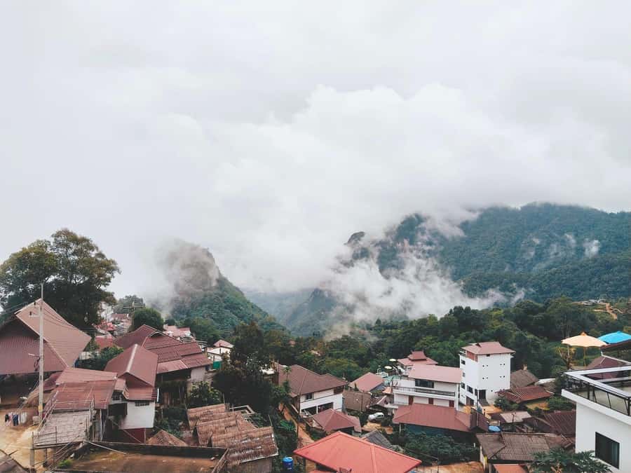 Explorer Border road and Nature ( Tea and Coffee ) - Ban Pha Hee and Ban Pha Mi villages: coffee, quiet, and cool breezes