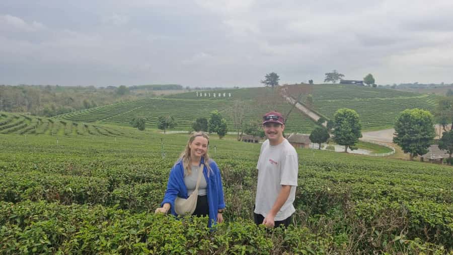 Explorer Border road and Nature ( Tea and Coffee ) - Mae Sai skywalk temple: Thailand’s northernmost vibe in one glass view