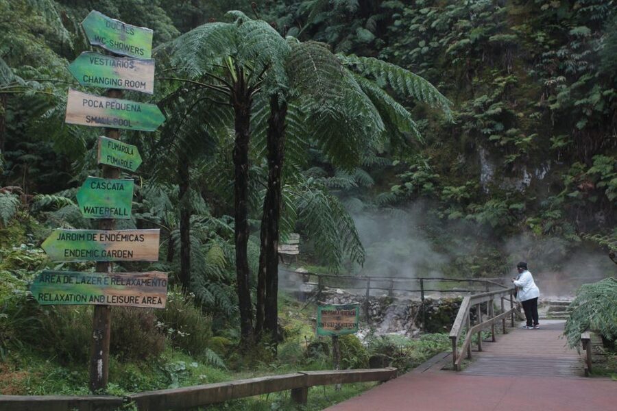 Fire Lake & Tea Factory & Pinneaple - How a 12-Person Van Tour Makes São Miguel Feel Manageable