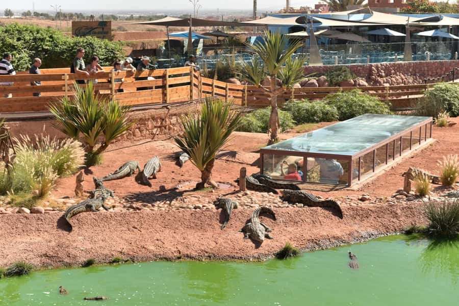 From Agadir/Taghazout: Buggy Safari Adventure & Moroccan Tea - Key highlights from this Agadir Buggy Safari