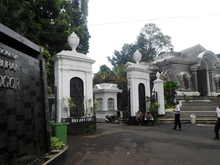 From Bandung: Tea Plantation and Botanical Garden Tour - Key Things I’d Focus On