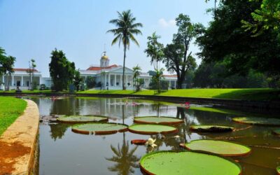 From Bandung: Tea Plantation and Botanical Garden Tour - The Price: $120 for up to 5, and What That Really Buys