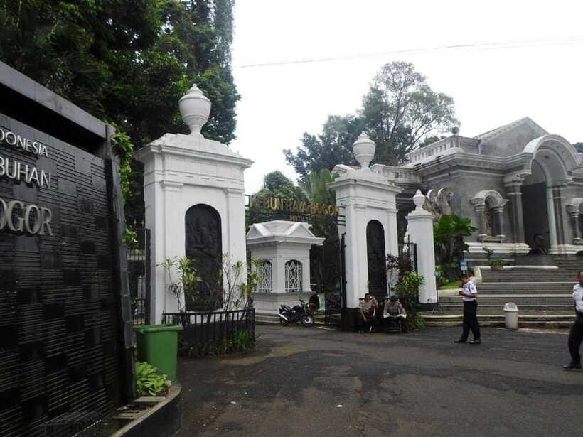 From Bandung: Tea Plantation and Botanical Garden Tour - Transport Comfort: Private Car, Driver Languages, and Group Size