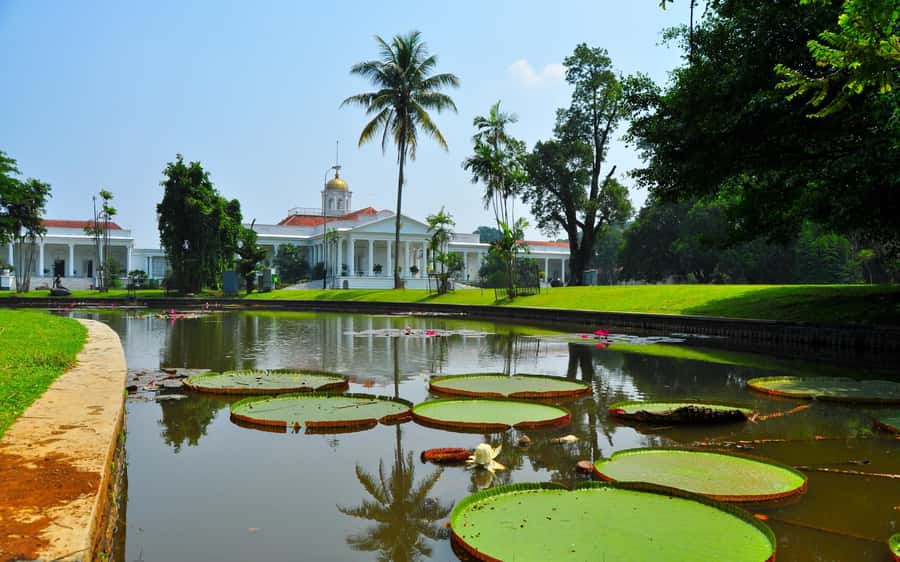 From Bandung: Tea Plantation and Botanical Garden Tour - The Price: $120 for up to 5, and What That Really Buys