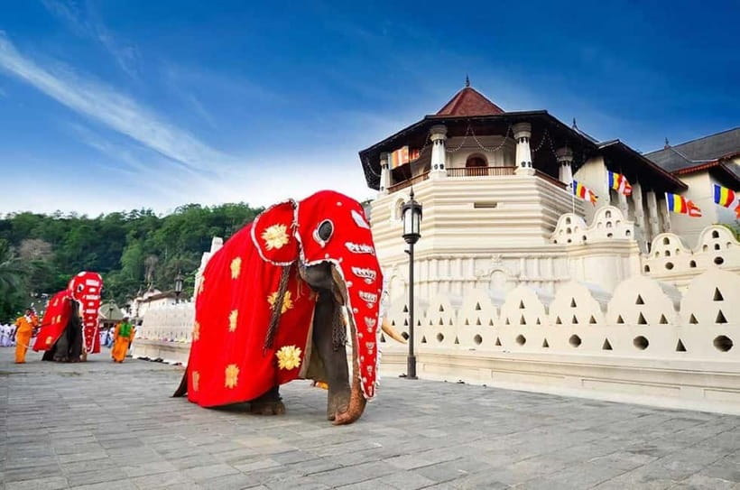 From Colombo: Kandy, Pinnawala and Tea Factory Full-Day Trip - Key points to know before you go