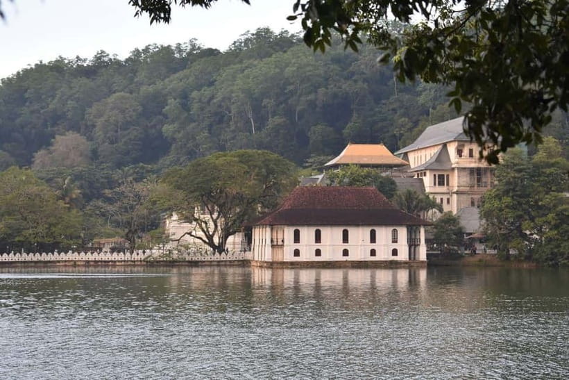 From Colombo: Kandy, Pinnawala and Tea Factory Full-Day Trip - Price and value: what $51 really turns into