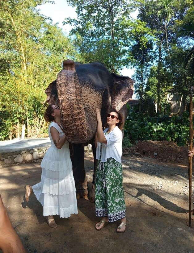 From Colombo or Negombo: Pinnawala, Kandy & Tea Factory Tour - Key things I’d plan around