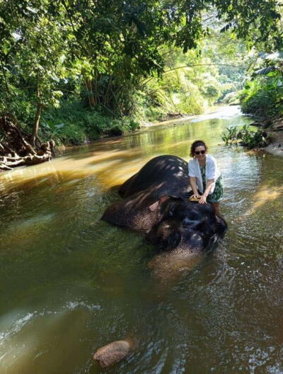From Colombo or Negombo: Pinnawala, Kandy & Tea Factory Tour - Pinnawala Elephant Orphanage: river bathing you can’t fake